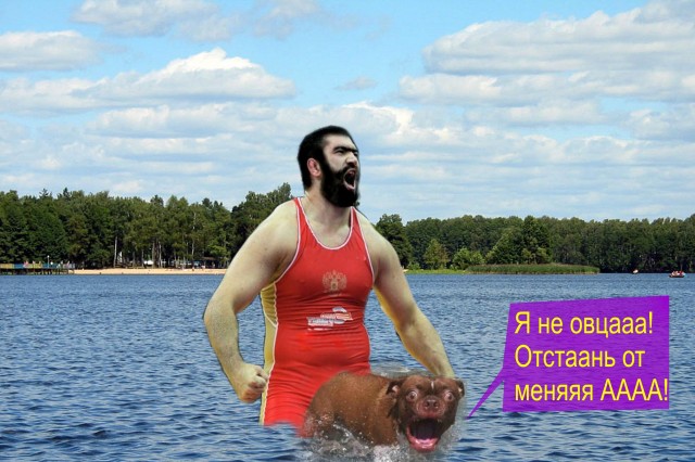 Жабельный собакен