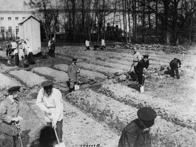 Ключевые даты 1917 года в дневниках Николая II