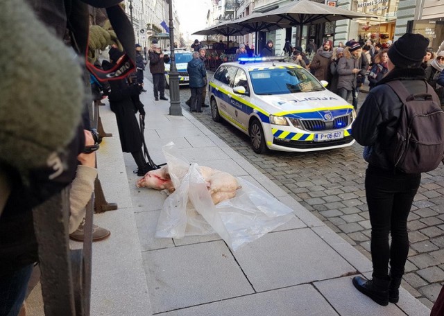 Веганка протащила по улице тушу свиньи в знак протеста