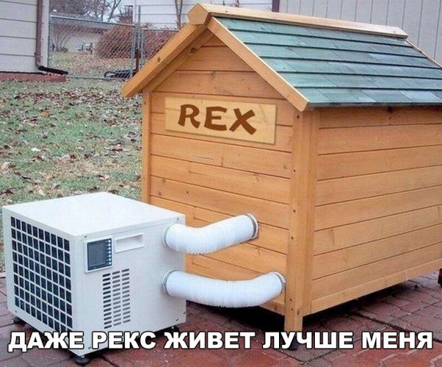 Прикалюхи