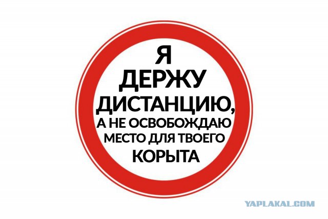 Бородатый получил в зад и очень удивился... Как так вышло... Он же виновен получился