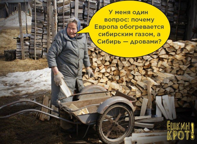 Станет ли Путин рождественским поросенком?