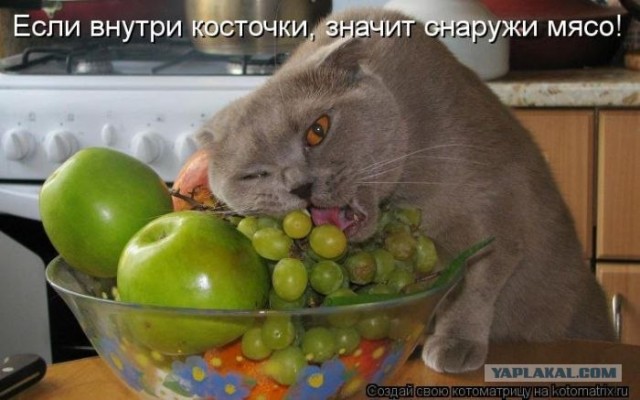 - Хозяин, сука, ты же обещал оставить...