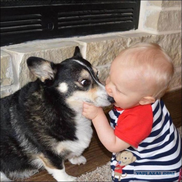 Жена (мама) целует ребенка в губ