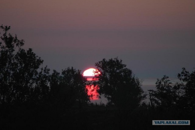 Четыре дня на Соловках (14 фото)