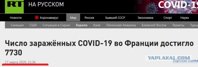 Узбекистан прислал России самолет с гуманитарной помощью