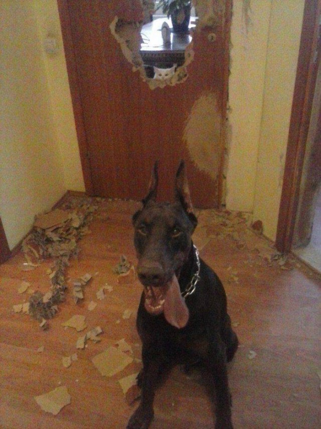 Бредзона 03.07.20
