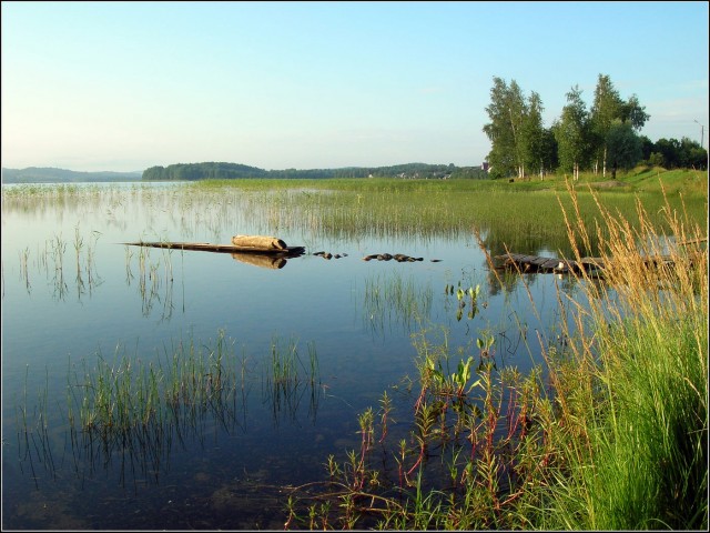 Красота и колорит русской деревни летом