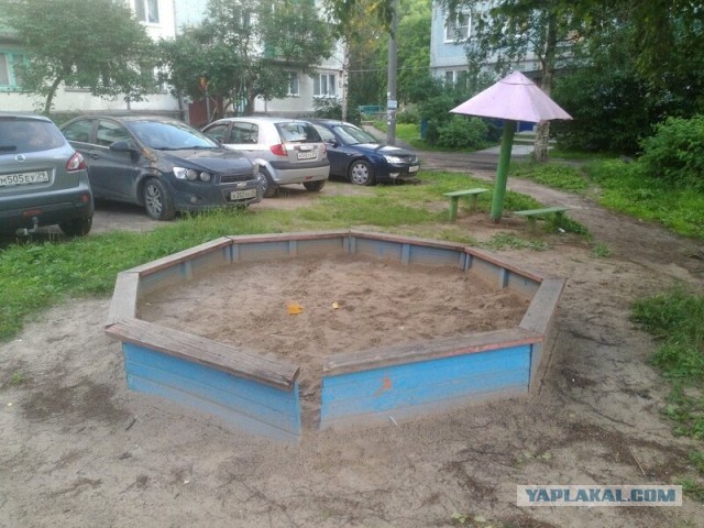 Дурацкие картинки 15.08.20
