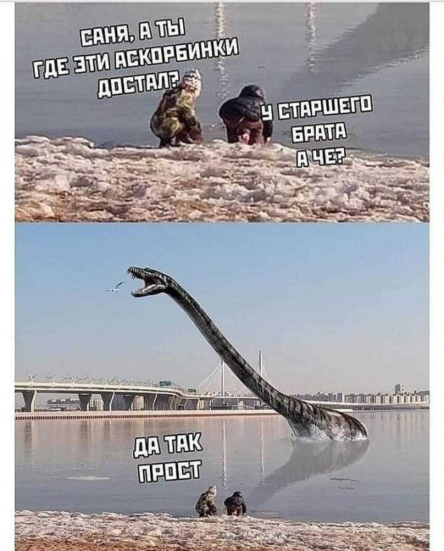 Юмор в картинках 20.08.20
