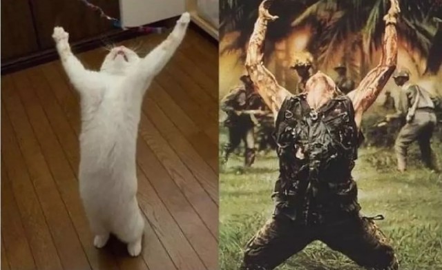 Оскара ему, срочно!