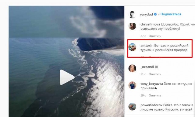Побережье Камчатки превратилось в кладбище морских обитателей