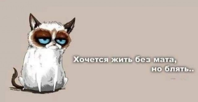 Бредзона 24.12.20