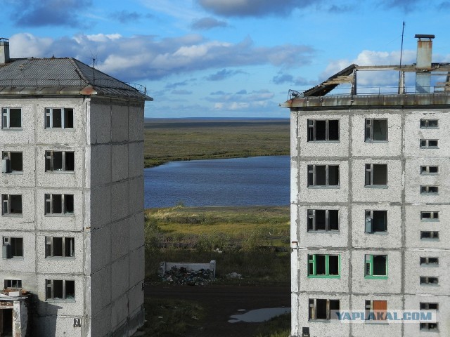 Эстетика е*еней