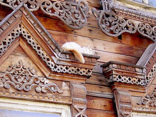 Добрые картинки 28.11.20