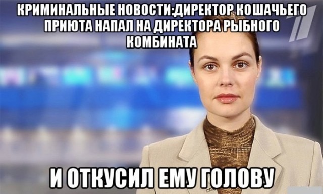 Операция "Деградация", часть вторая