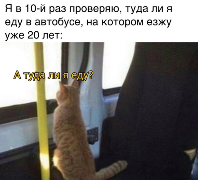 Весёлый полтишок 26.04