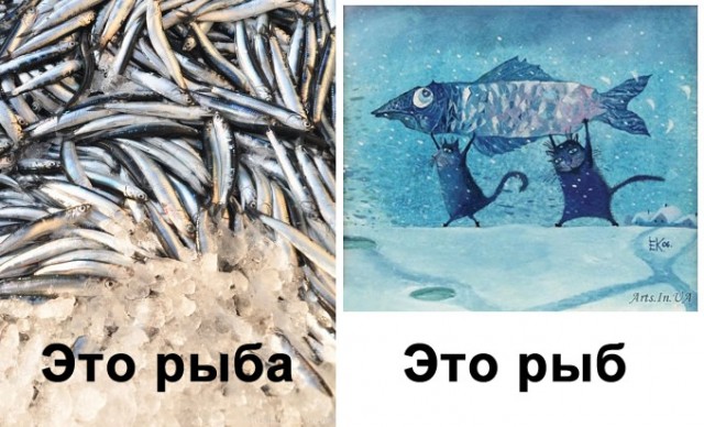 Подробное толкование мема "про рыбов и котиков" для чайников. Часть I