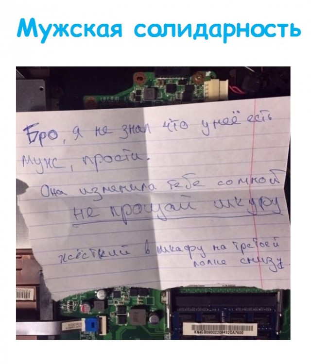 Весёлый полтишок 26.09