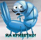 20 чудес микромира (20 фото)