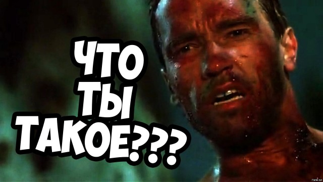 Дорожает, зато стабильно