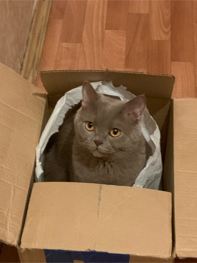 Вторник. Котэ. Пора