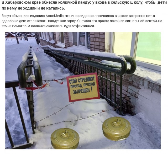 Чуток картинок 16.12.21