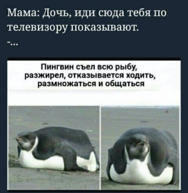 Картинки для настроения с надписями и без