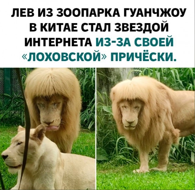 Так себе картинки 01.06.22