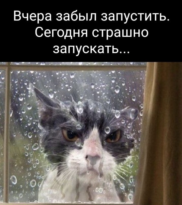 Так себе картинки 17.07.22