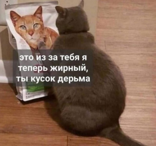 Юмор в картинках и без