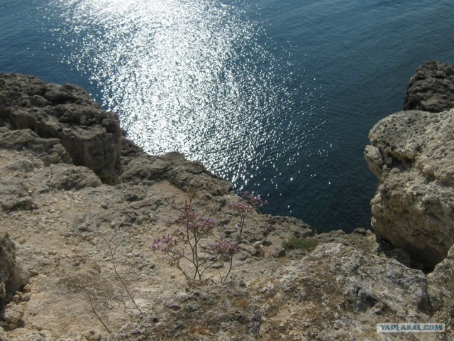 Мыс Тарханкут - самая западная точка Крыма.
