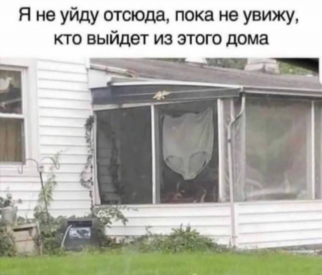 Юмор в картинках и без 01.12.2022