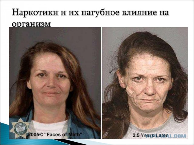 Всё исключительно в медицинских целях