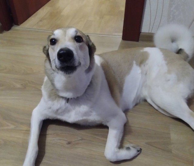 Взгляд
