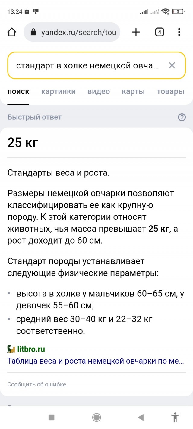 Восточноевропейская овчарка: Их противостояние с немецкими овчарками длится вот уже 50 лет!