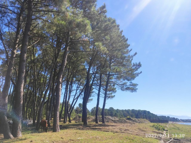 Мой Кавказ. Часть 2