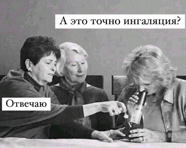 Весёлый полтишок 11.01.23