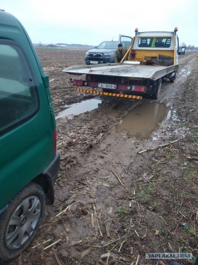 Жизнь домашнего приюта для котеек 431
