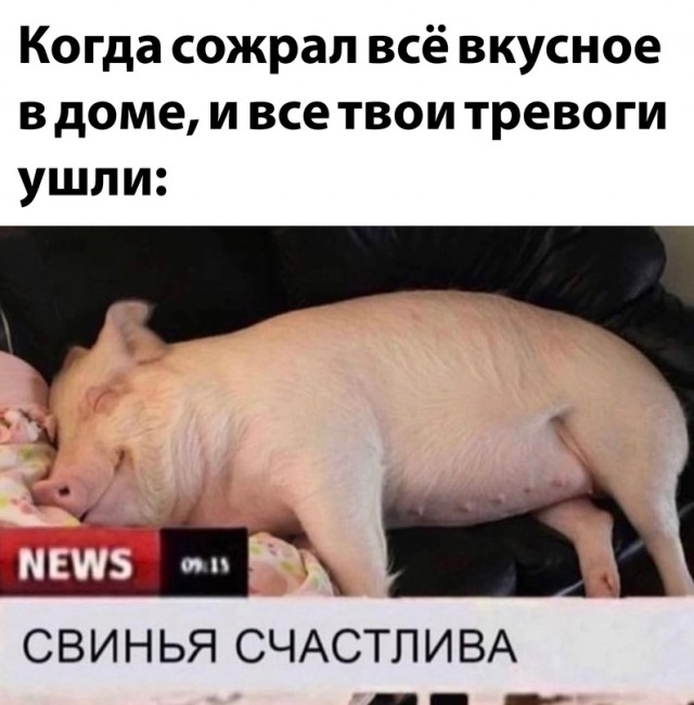 Картинки и мемы, всем хороших выходных