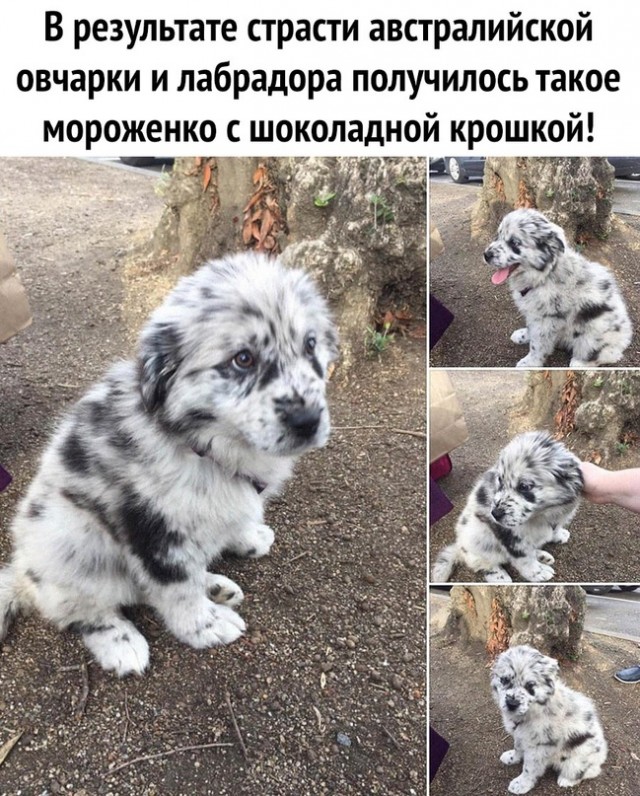 Картинки и мемы, всем хороших выходных