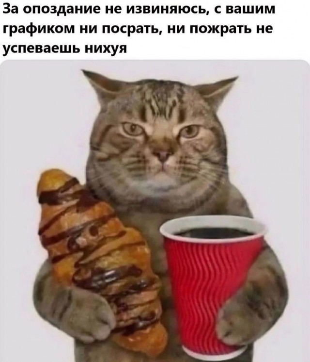 Народная меДИЧина 3009