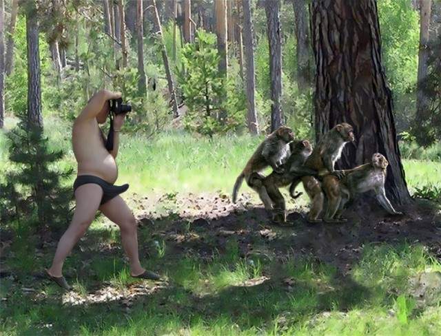 Фотожаба "Сними меня фотограф"
