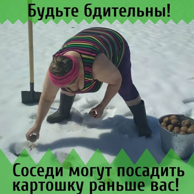 Дела огородные
