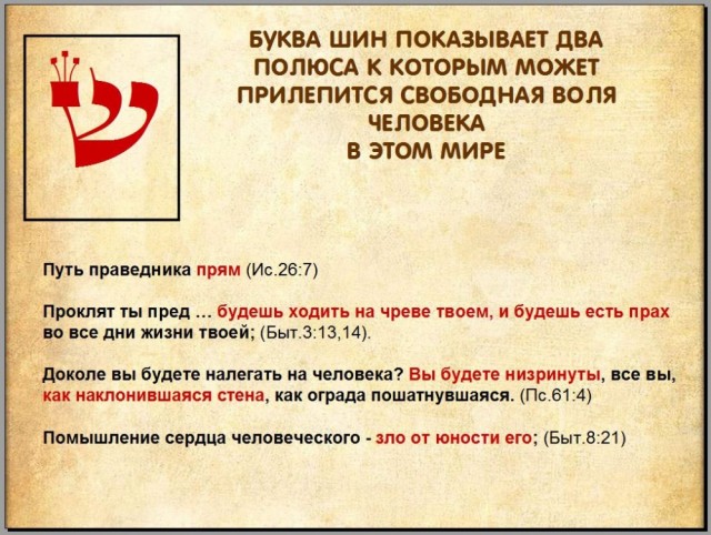 Весёлый полтишок 16.04.23