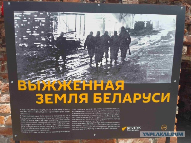 Беларусь. Июнь 2023