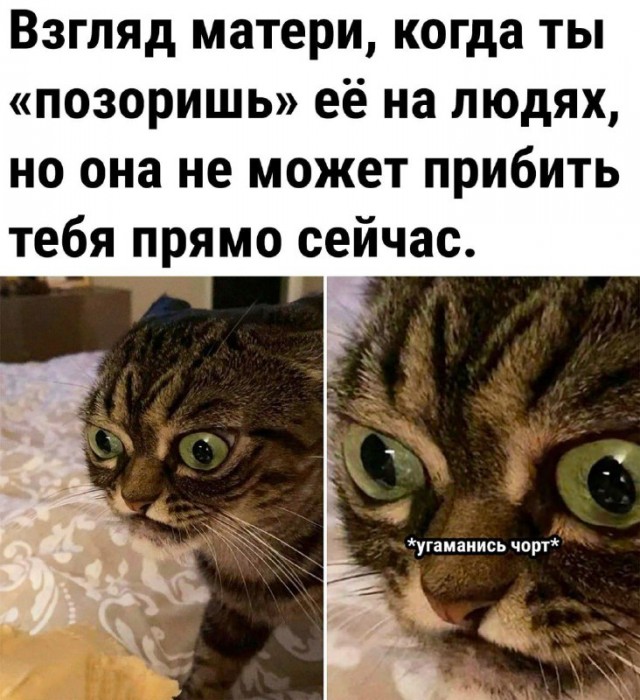 То, что не перестанет растягивать лицо в улыбке во веки веков. Аминь.