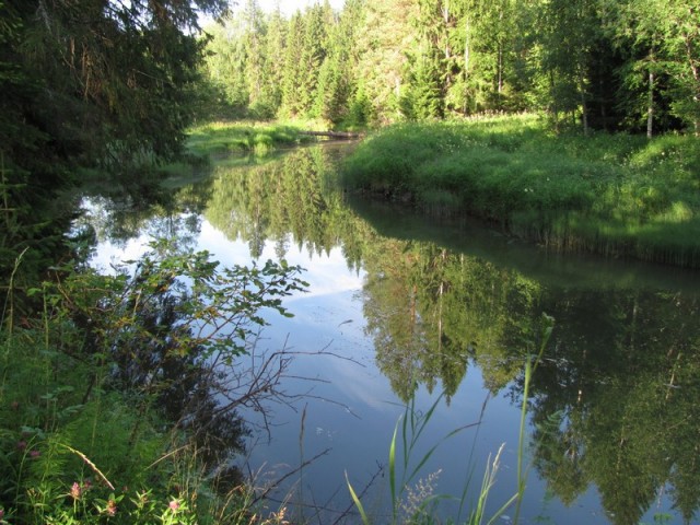 Уральское лето моими глазами
