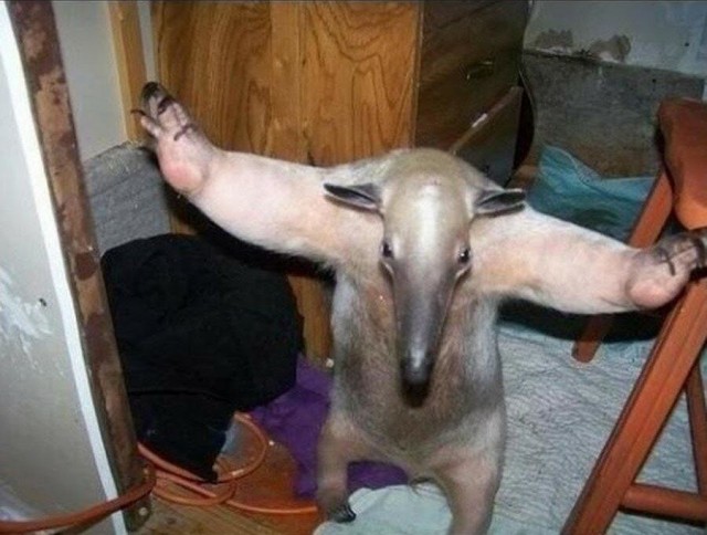 Кто этот хлеборез