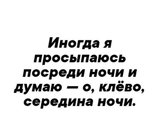 Весёлый полтишок 03.09.23